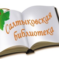 Салтыковская сельская библиотека