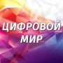 Магазин и ремонтная мастерская электротоваров и электроники «Цифровой мир» (Вахруши)