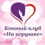 Конные прогулки «на Игрушке» (Слободской)