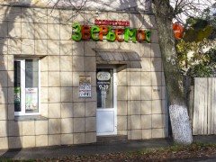 Зоомагазин «Зверьё моё» (Слободской, А.С. Пушкина, 18). Вход