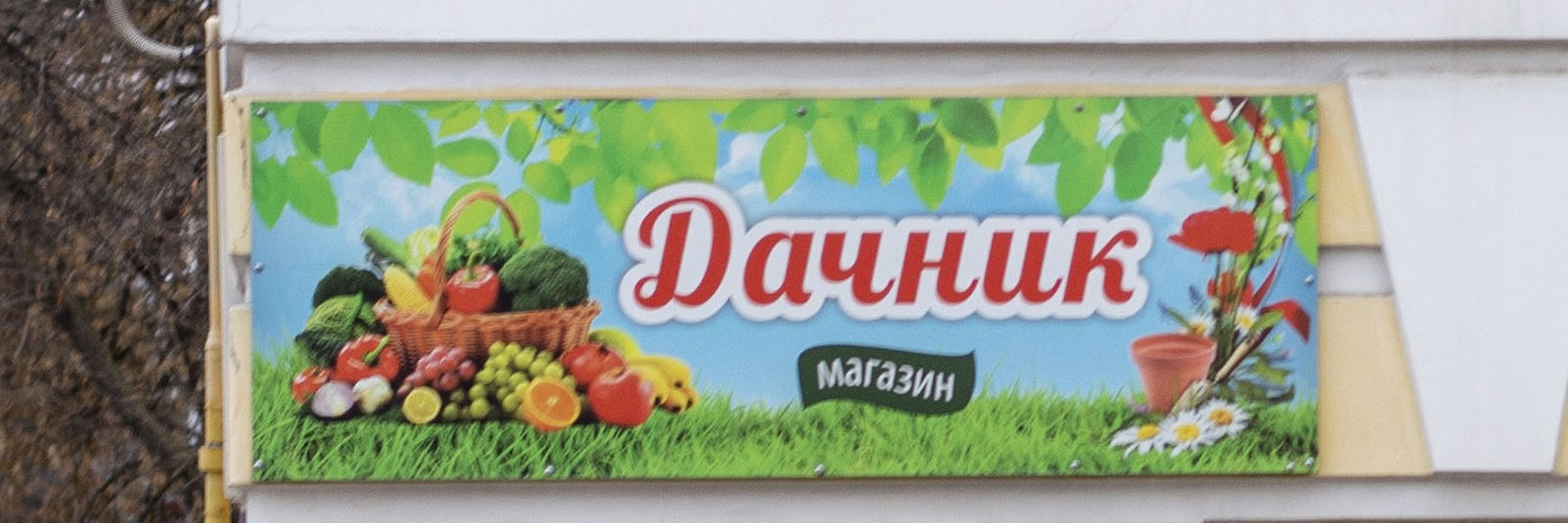 Обложка страницы Магазин «Дачник» (Слободской)